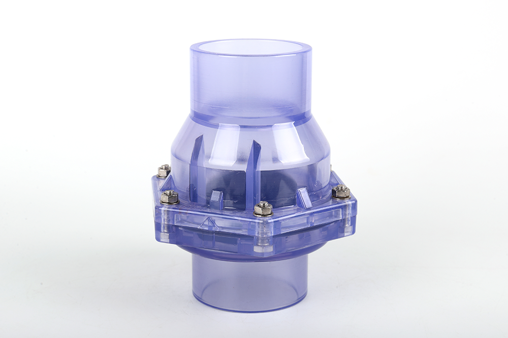 庄河透明翻板式止回阀